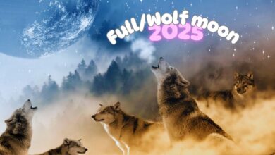 Full Moon January 2025: Love effect on these zodiac signs