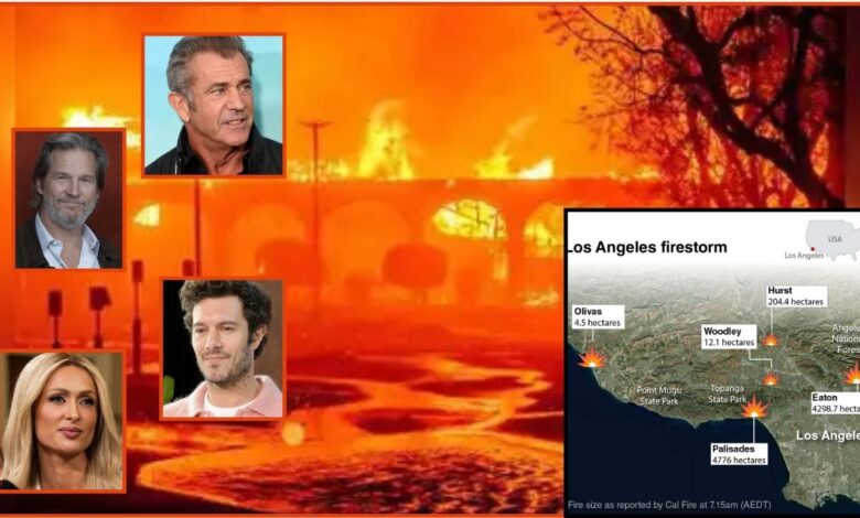 Los Angeles celebs lose homes and shares experiences